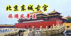 淫屄浪妇中国北京-东城古宫旅游风景区