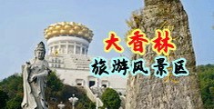 狂操软件网站!中国浙江-绍兴大香林旅游风景区